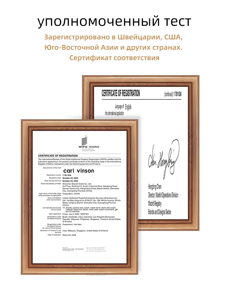 Мужские деловые кварцевые часы из сплава Carl Vinson